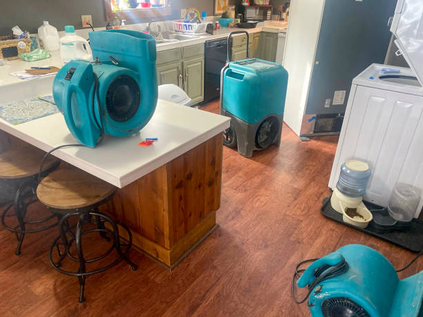 Professional Water damage restoration in Athens, OH
