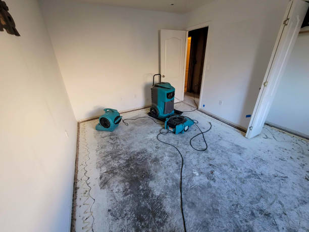 Best Residential water damage restoration  in Athens, OH