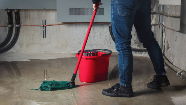Best Flooded house restoration  in Athens, OH