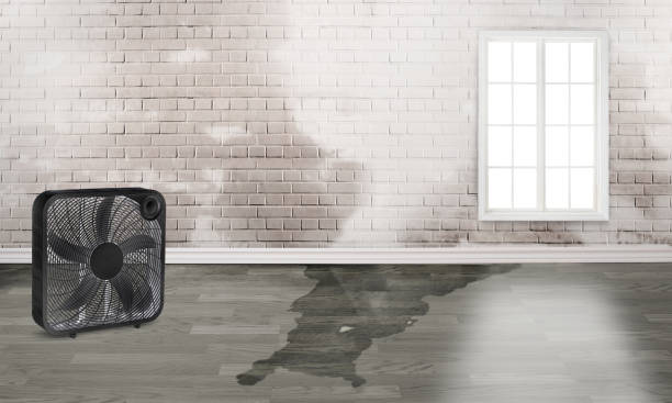 Best Flood damage cleanup  in Athens, OH
