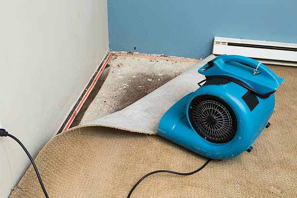 Best Carpet water damage restoration  in Athens, OH