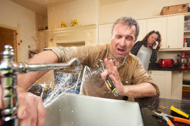 Best Water damage cleanup near me  in Athens, OH